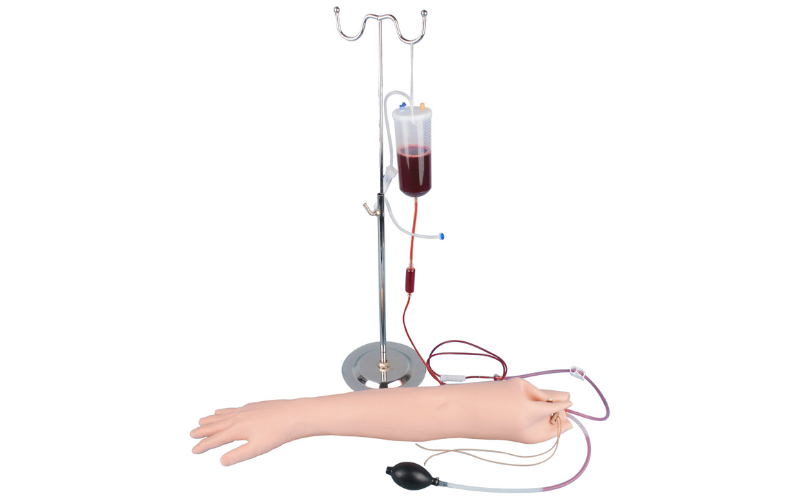NEW | Radial and Ulnar Arterial Puncture Training Arm