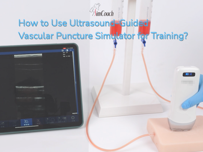 Ultrasound-Guided Vascular Puncture Training Guide