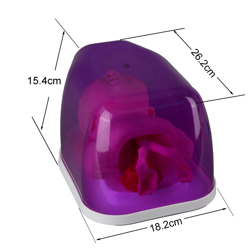 The Size Info of Pediatric Airway Management and Tracheal Intubation Trainer