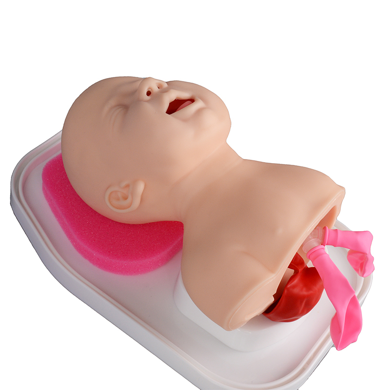 Infant Airway Management Trainer Realistic Airway Anatomy