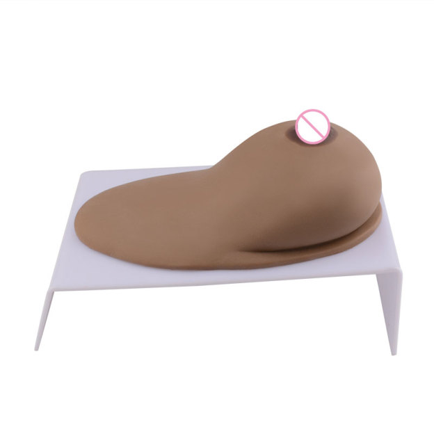 SimCoach Lactating Breast Model for Education with Display Stand