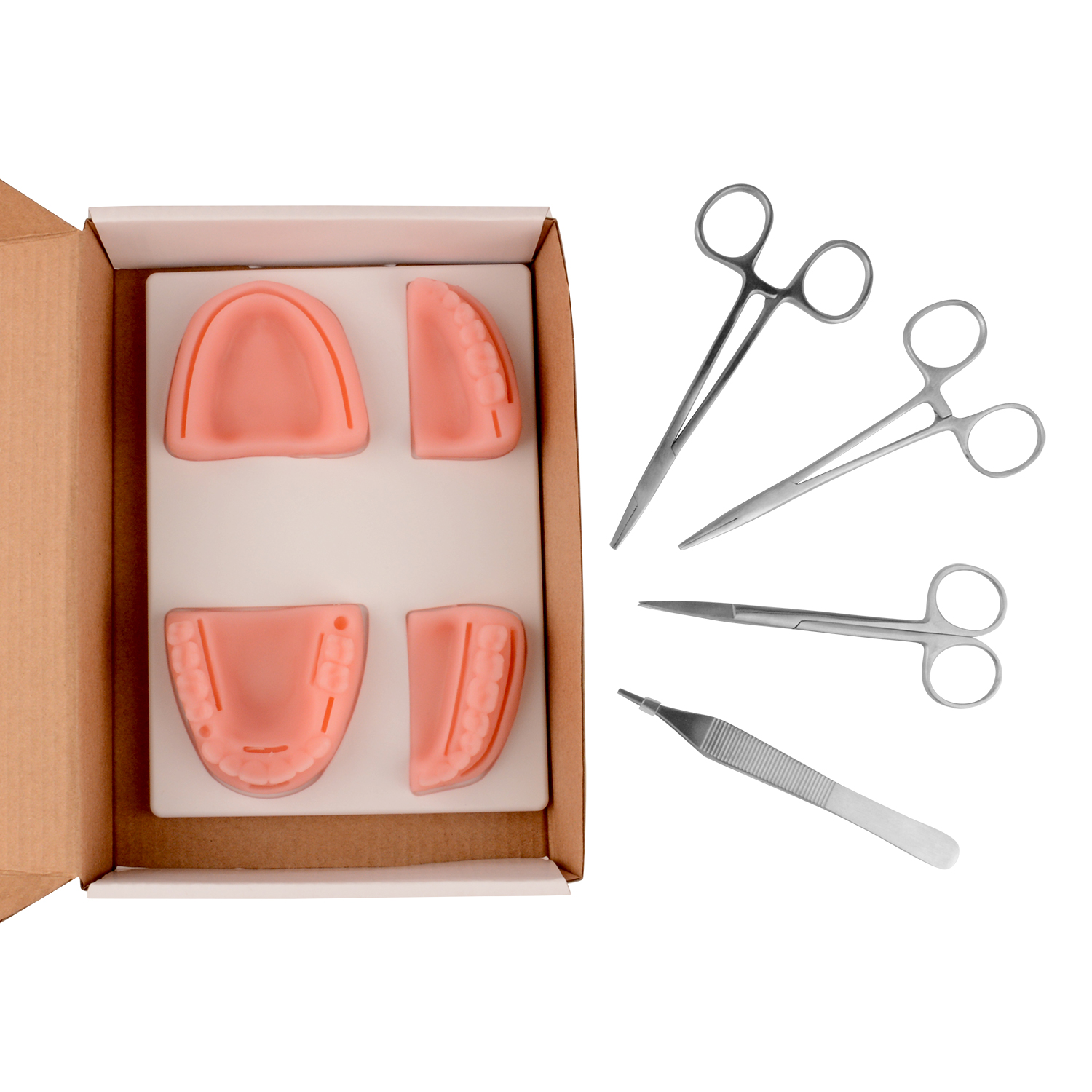 Dental Suturing Kit With Instruments And Sutures