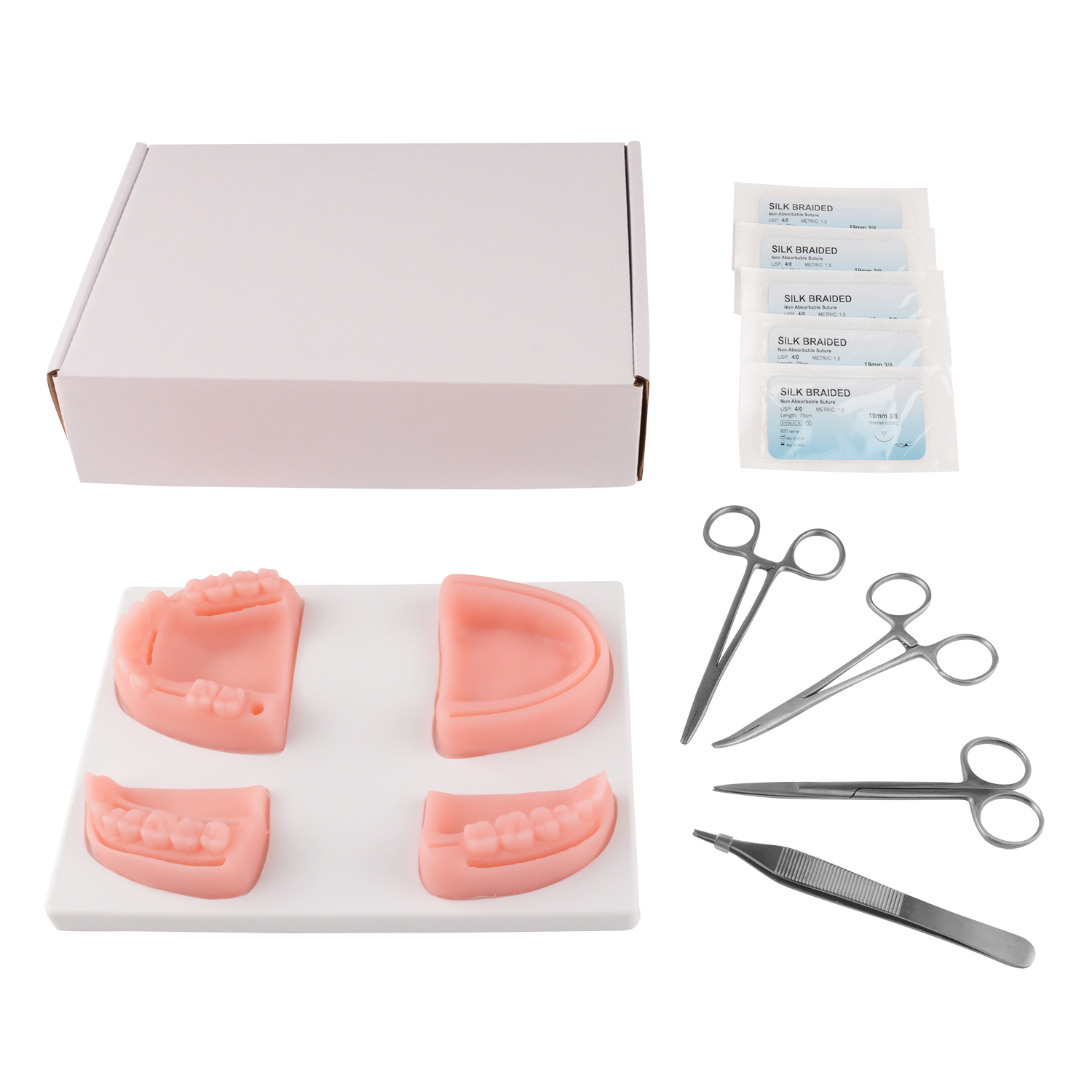 Dental Suture Practice Kit with Oral Model and Instruments