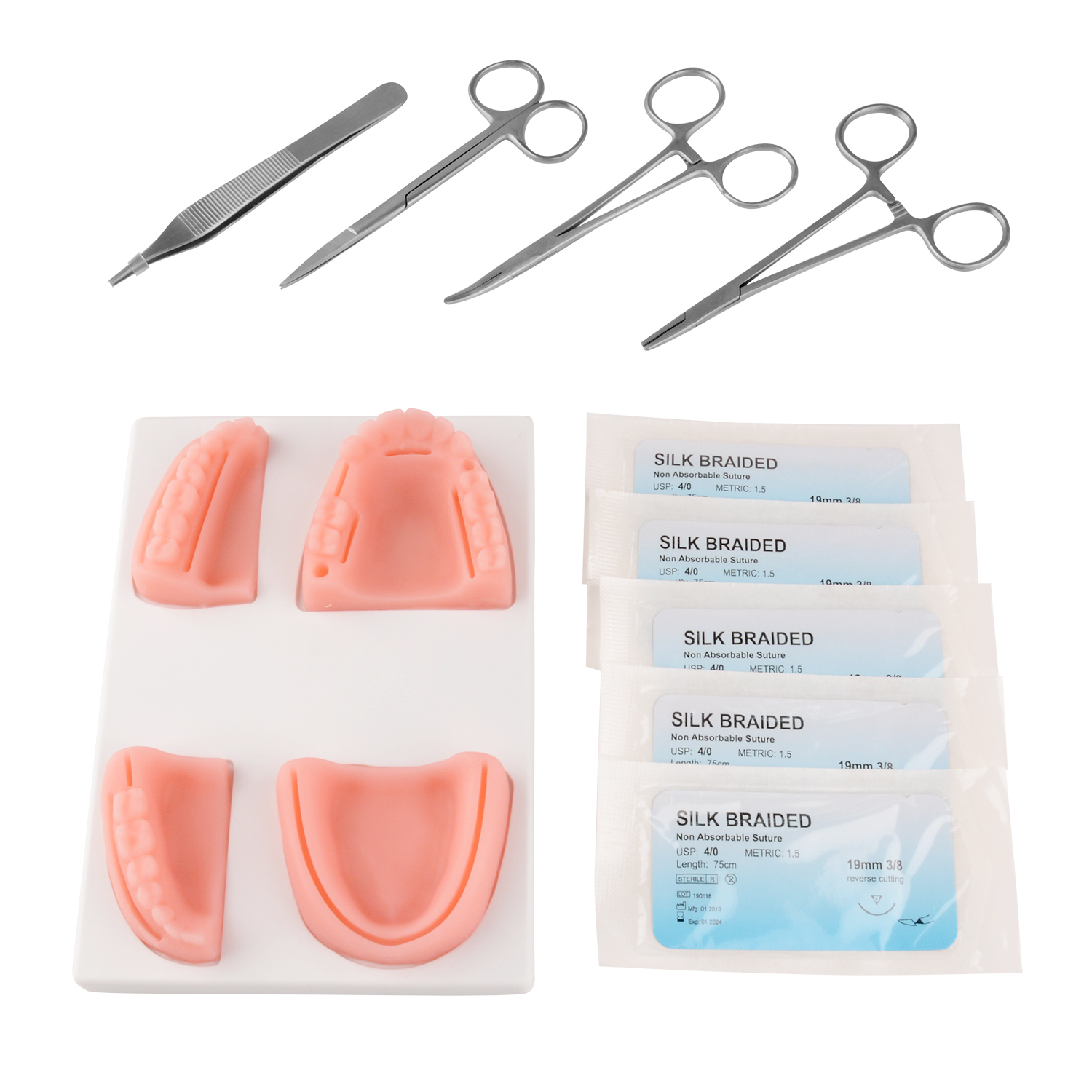Dental Suture Practice Kit With Oral Model