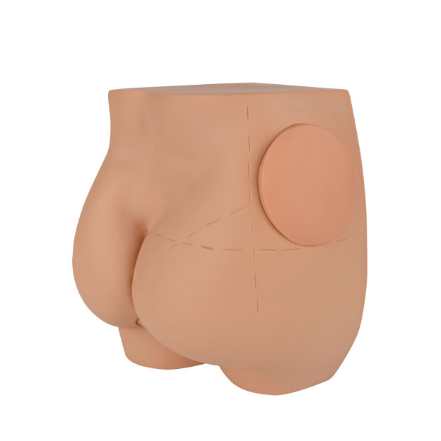 Gluteal Intramuscular Injection Model