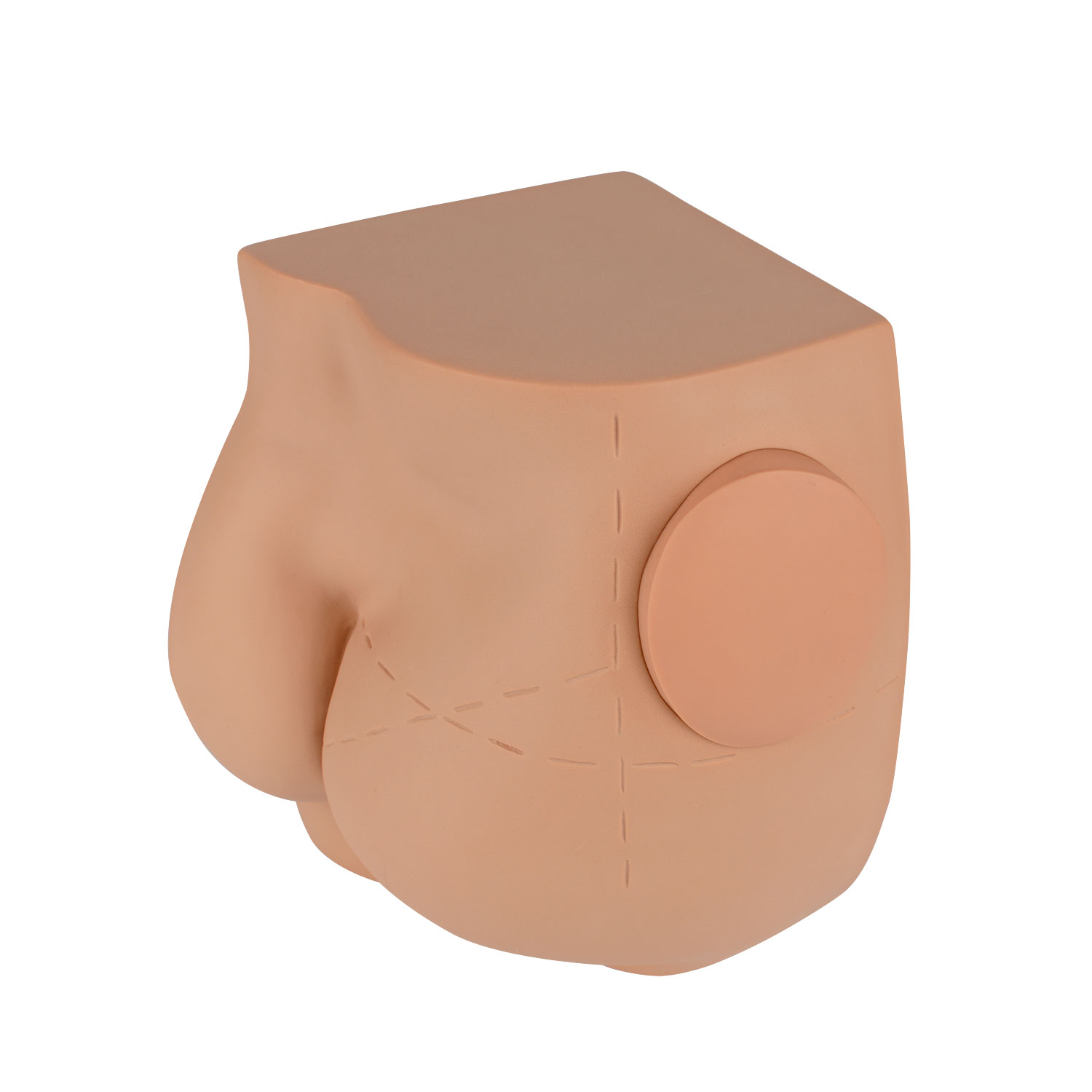 Gluteal Intramuscular Injection Model