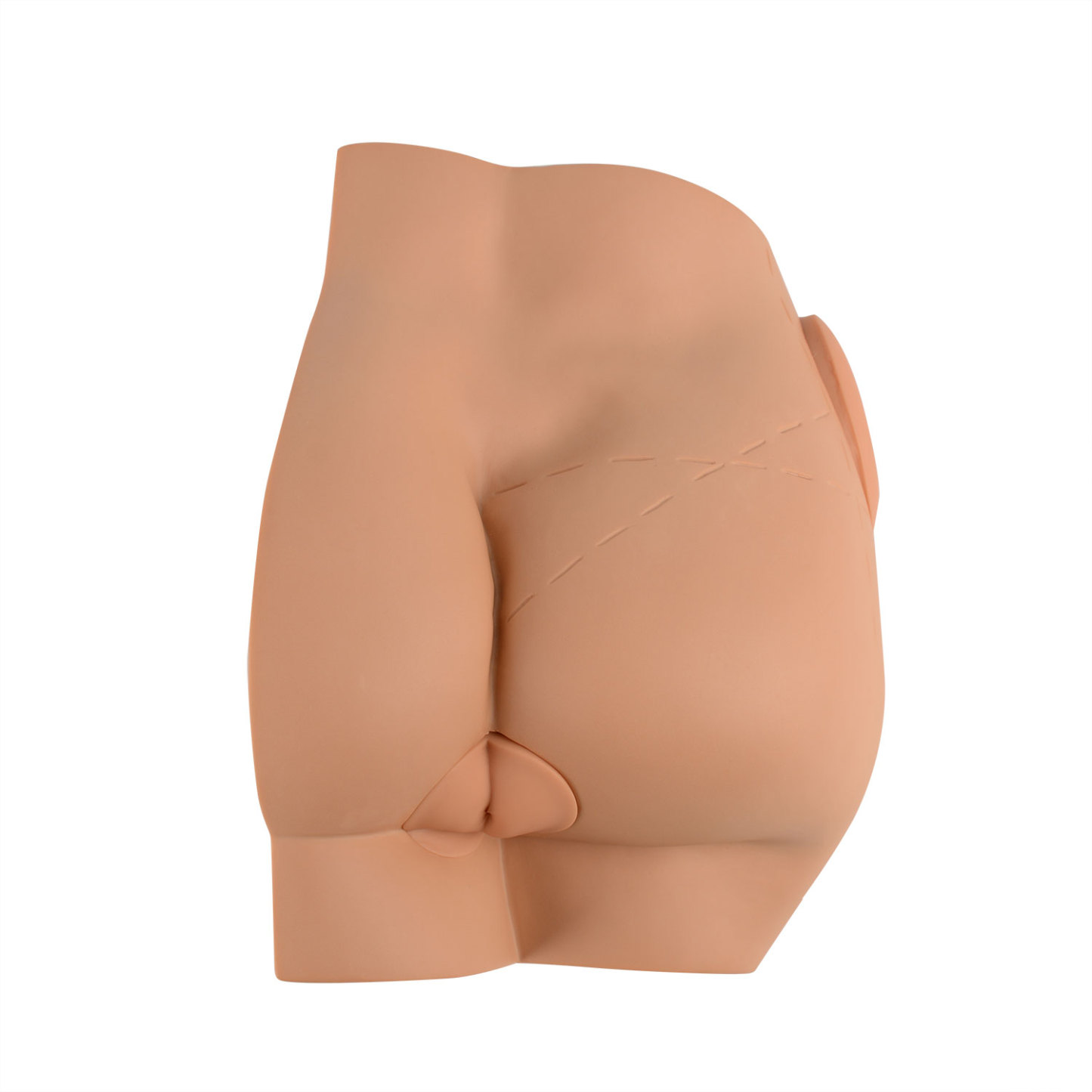 Gluteal Intramuscular Injection Model