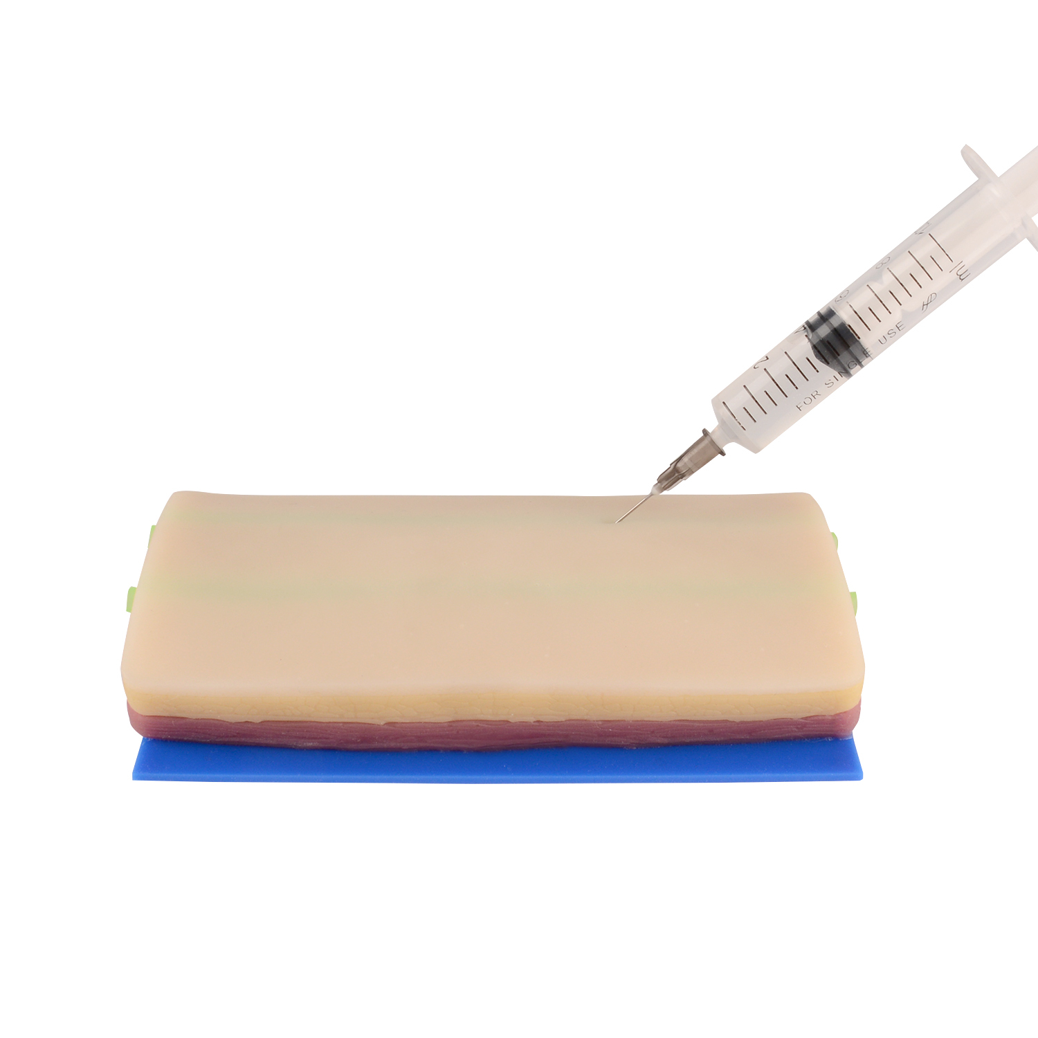 IV Catheter Training Pad with 2 Embeded Veins