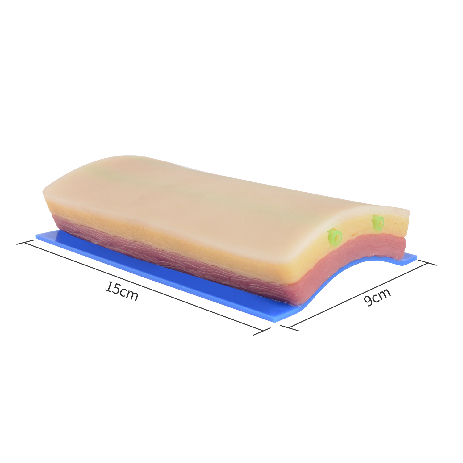 IV Catheter Training Pad with 2 Embeded Veins