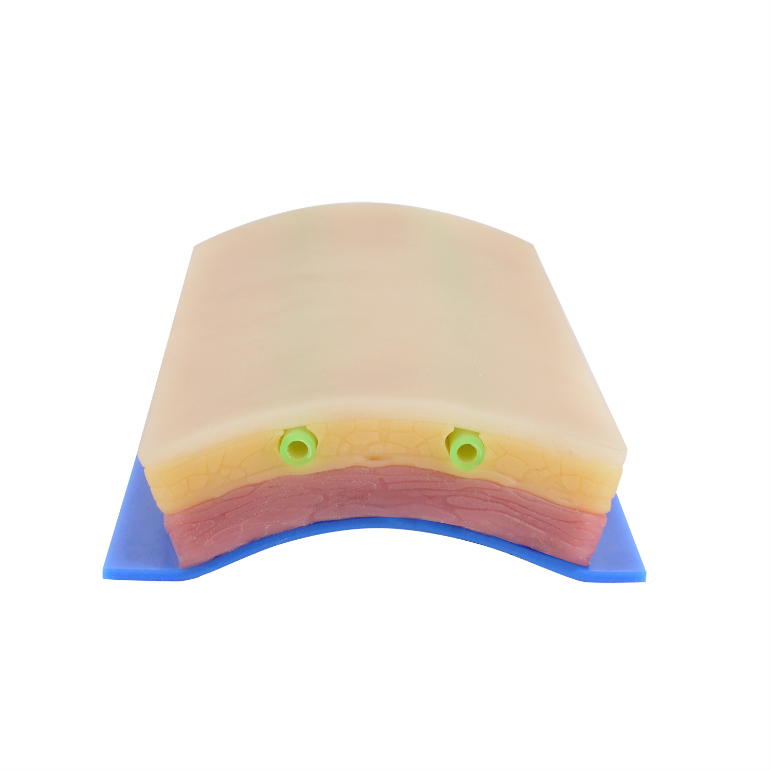 IV Catheter Training Pad with 2 Embeded Veins