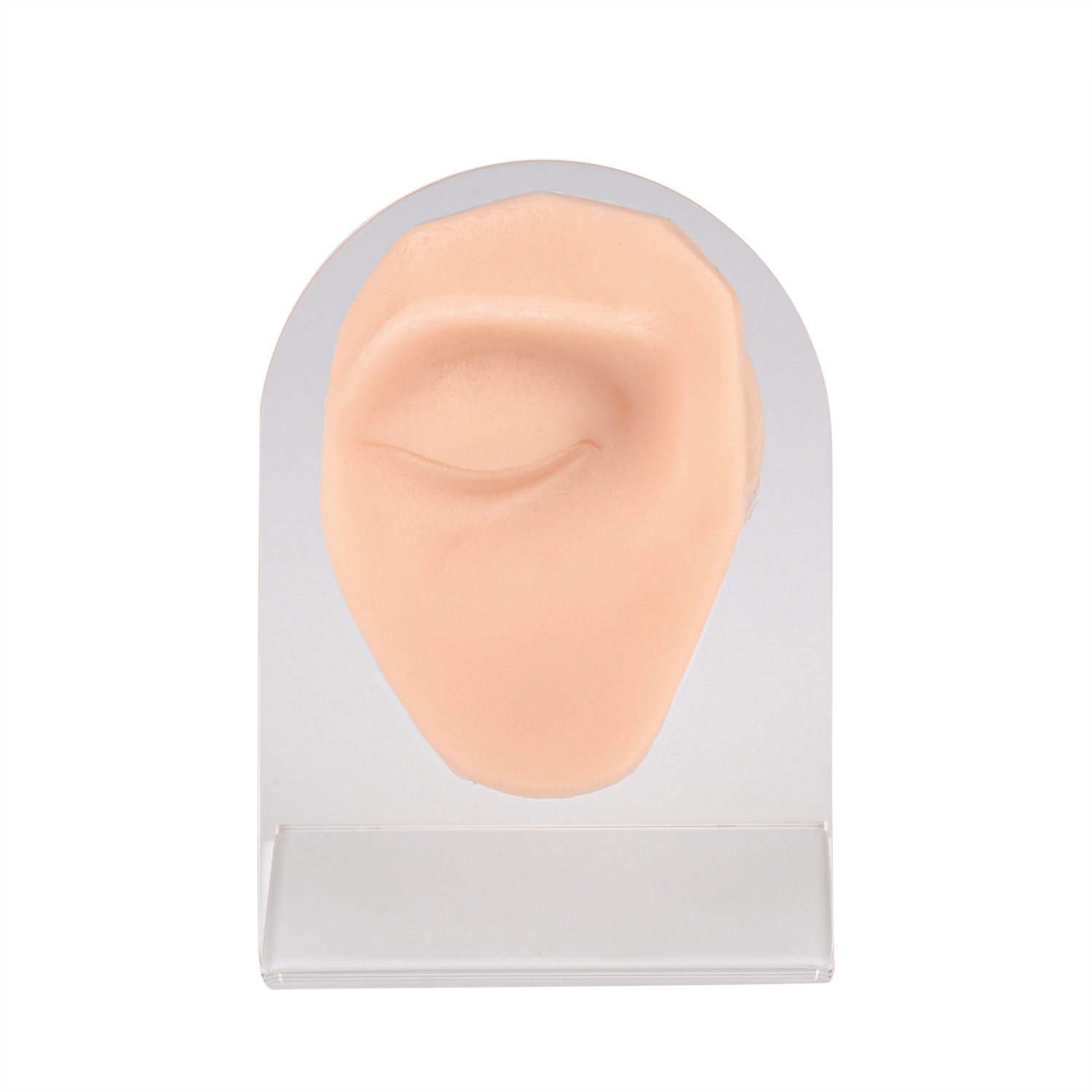 Silicone Eye Piercing Model, Left & Right