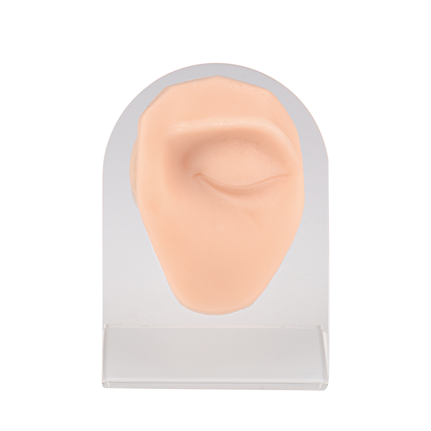 Silicone Eye Piercing Model, Left & Right