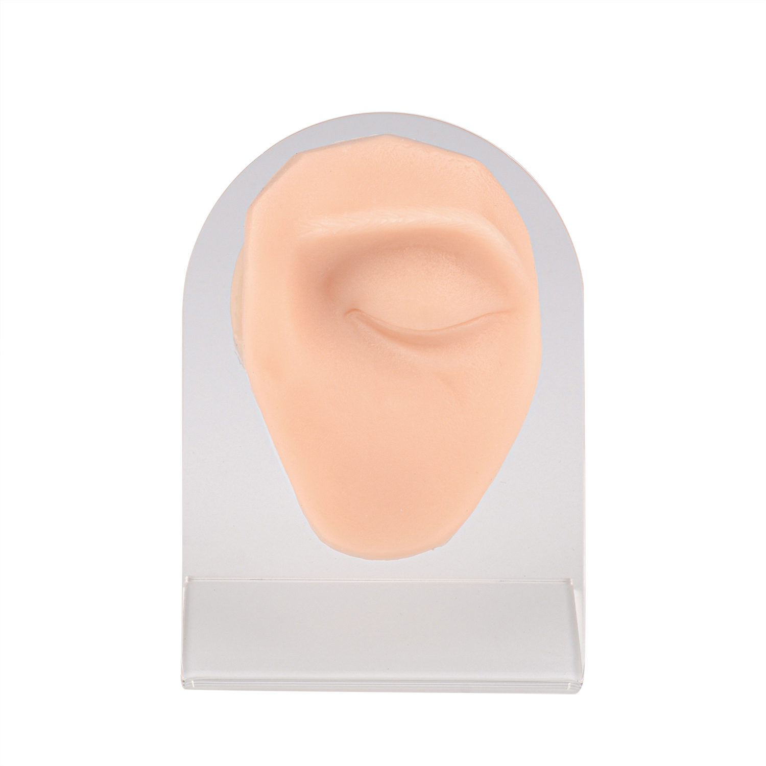 Silicone Eye Piercing Model, Left & Right