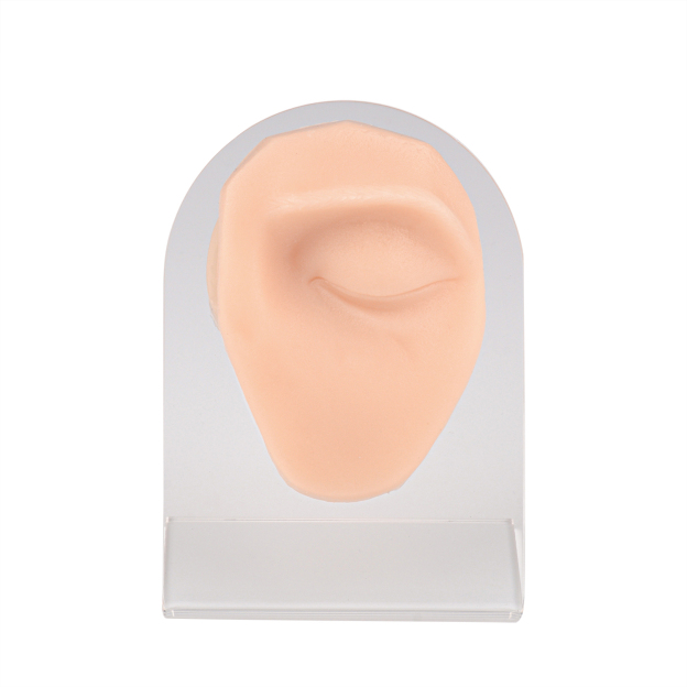 Silicone Eye Piercing Model, Left & Right