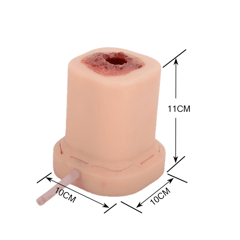 Gunshot Wound Trainer Product Dimensions