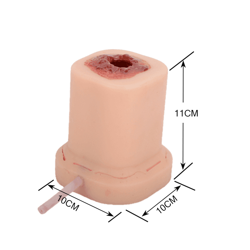 Gunshot Wound Trainer Product Dimensions