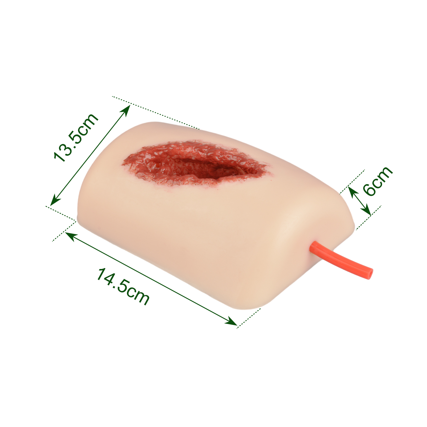 The Size Information of Thigh Wound Simulator
