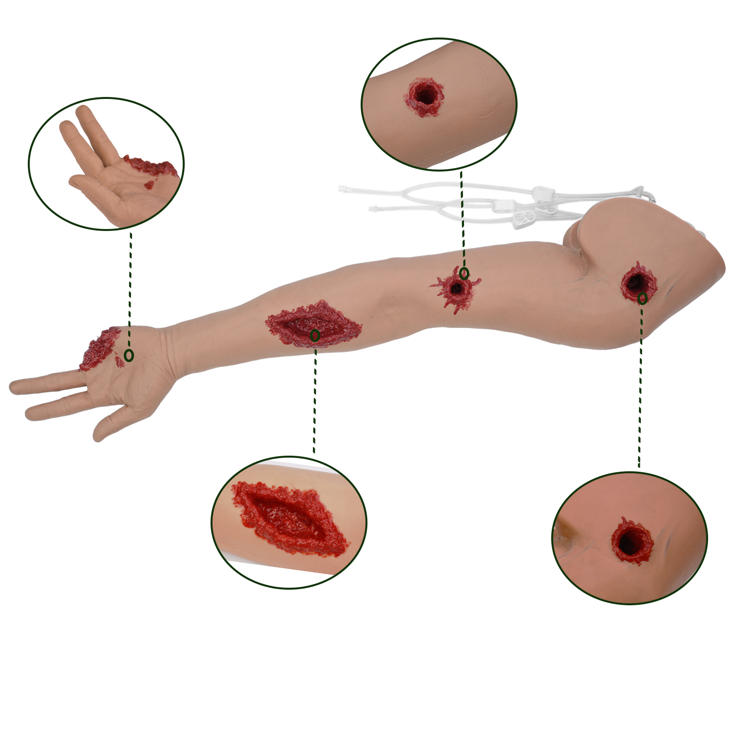 Tourniquet Arm Trainer With Multiple Trauma Wounds