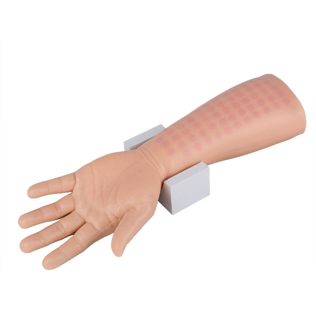Intradermal Injection Practice Arm with 58 Injection Spots