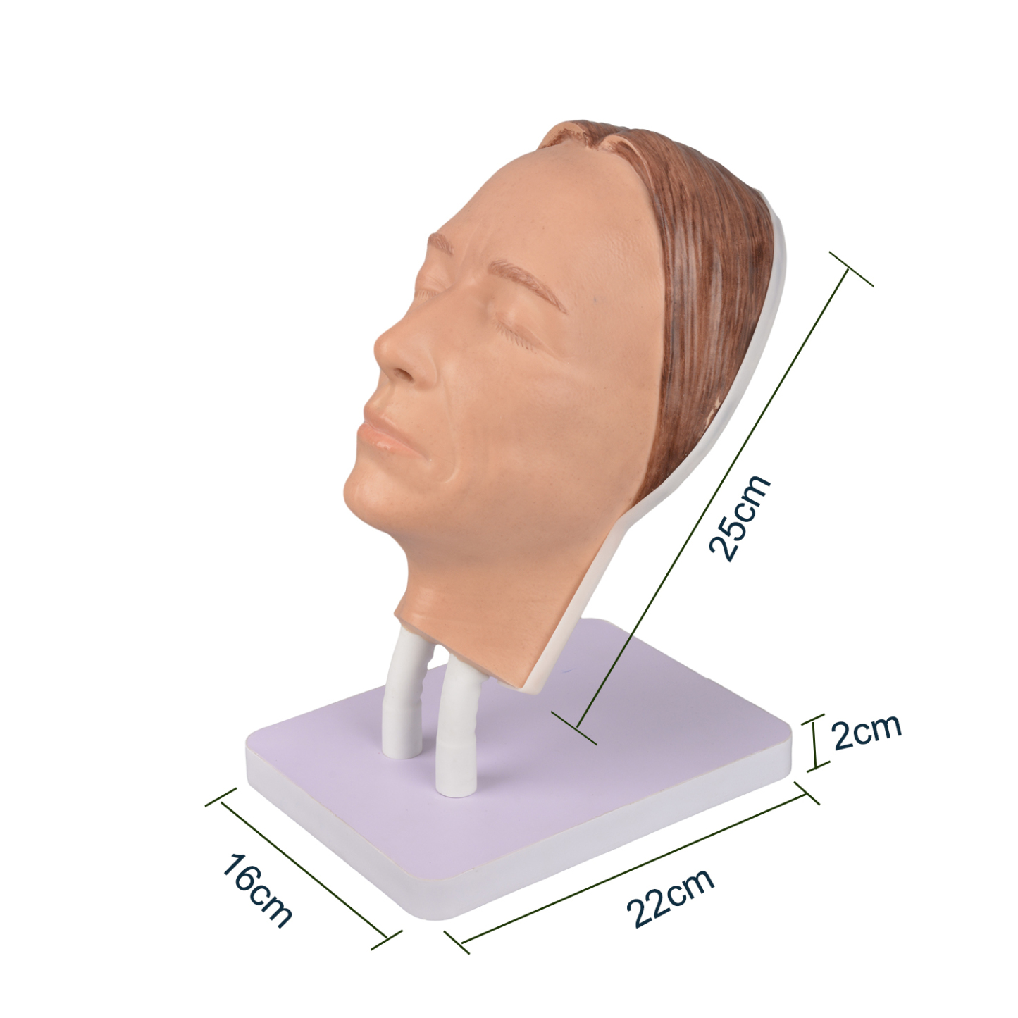Female Facial Injection Mannequin Head Model Size Reference