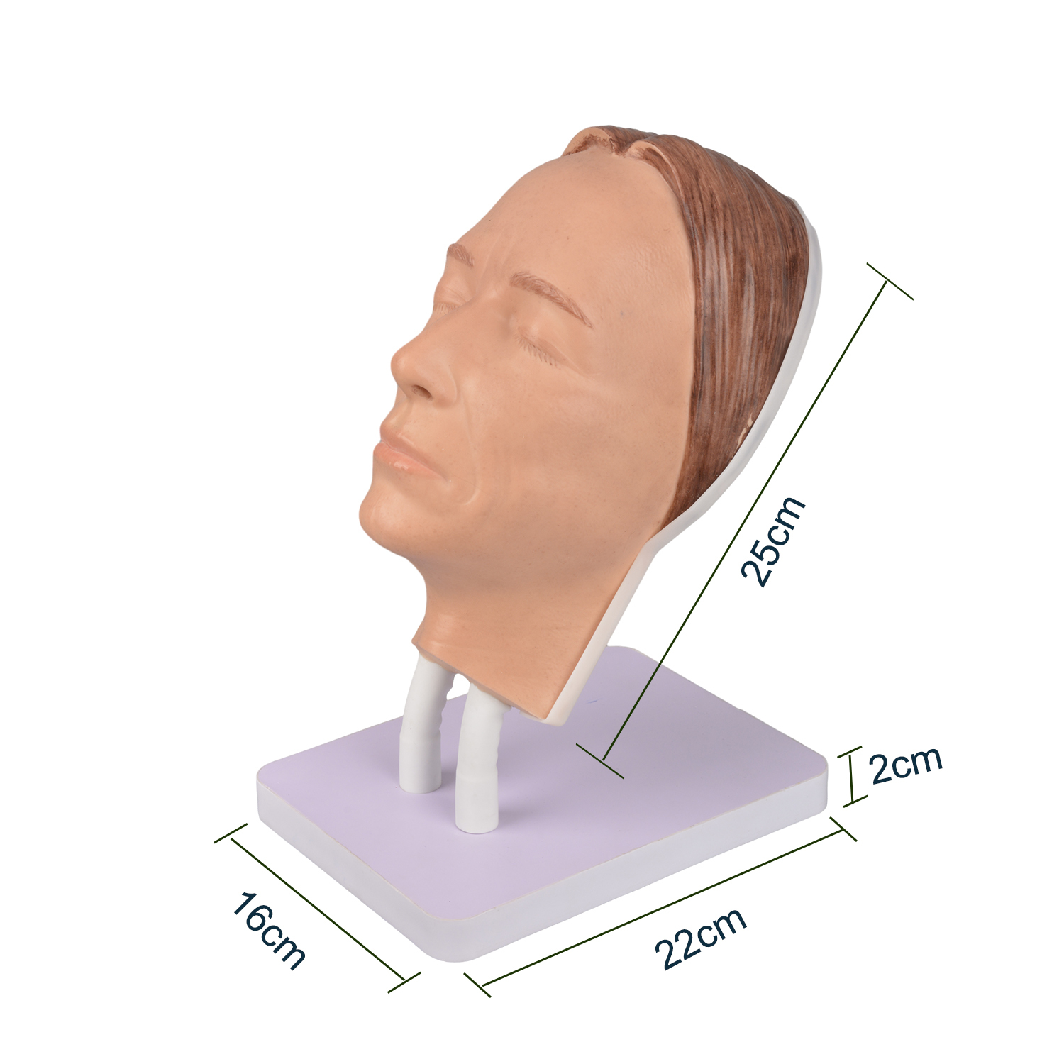 Female Facial Injection Mannequin Head Model Size Reference