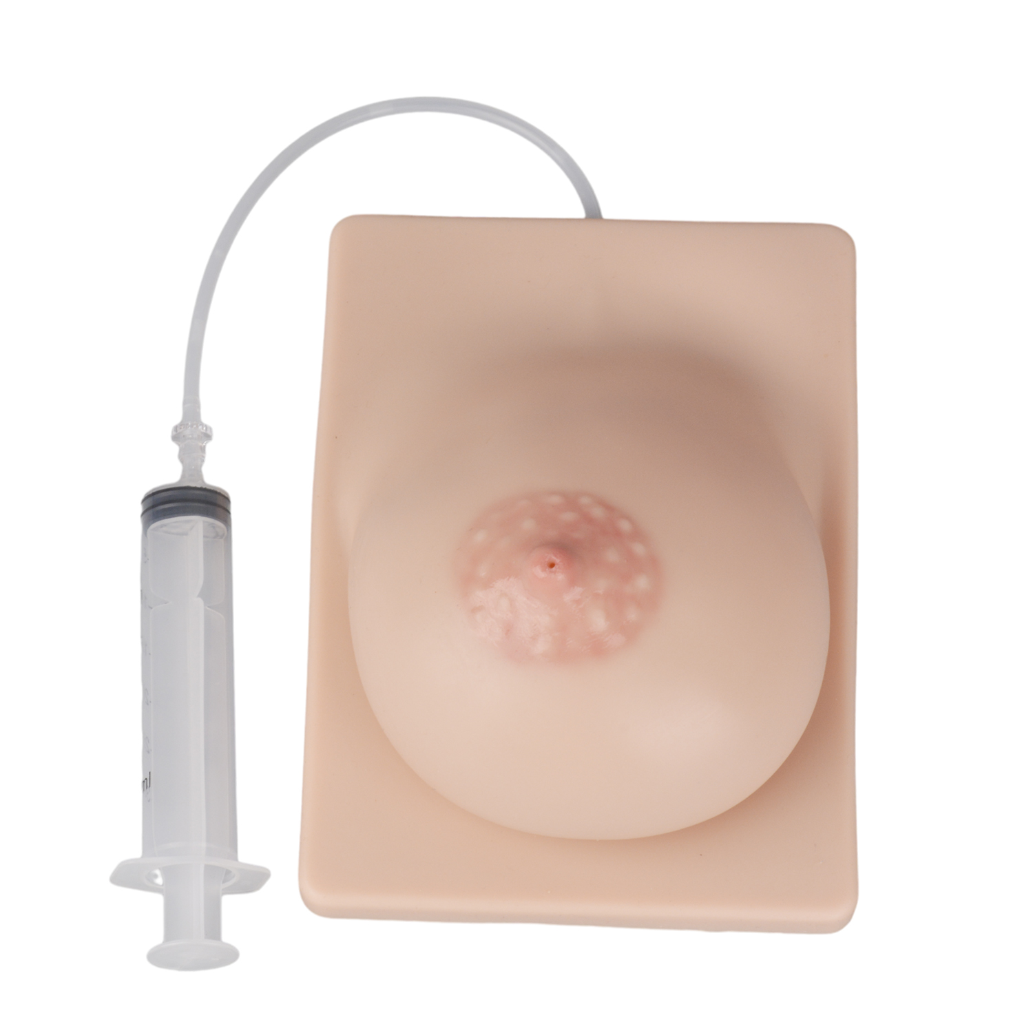 Lactation Training Breast Model