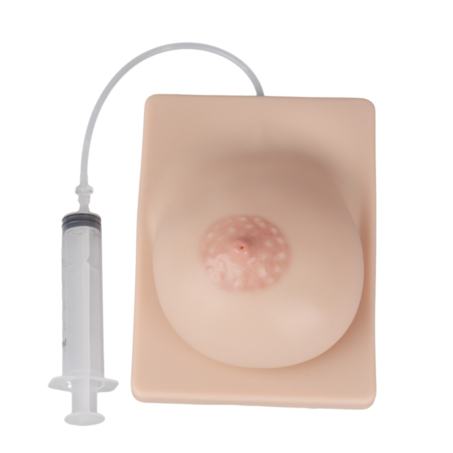 Lactation Training Breast Model