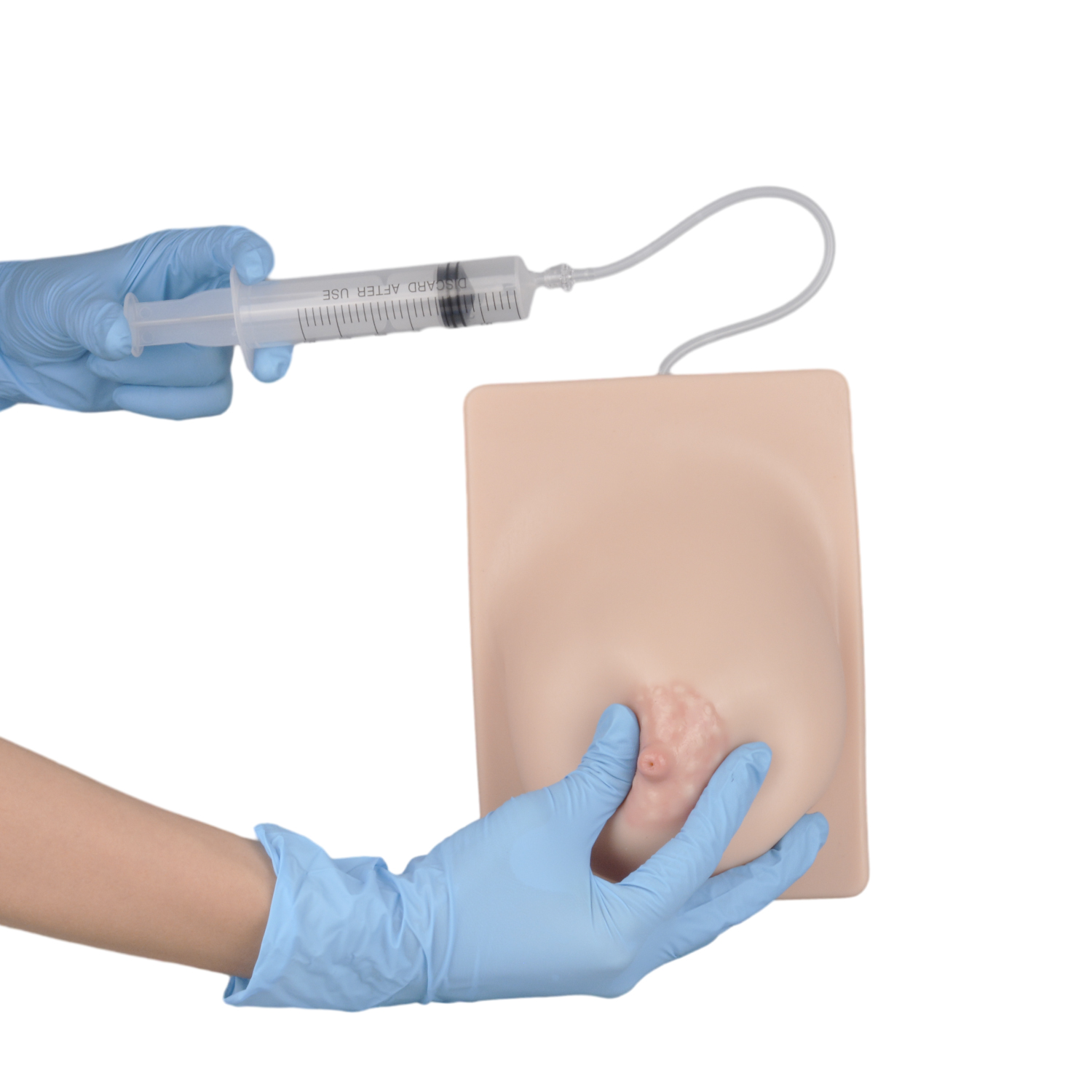 Breastfeeding Model with Simulated Milk Expression