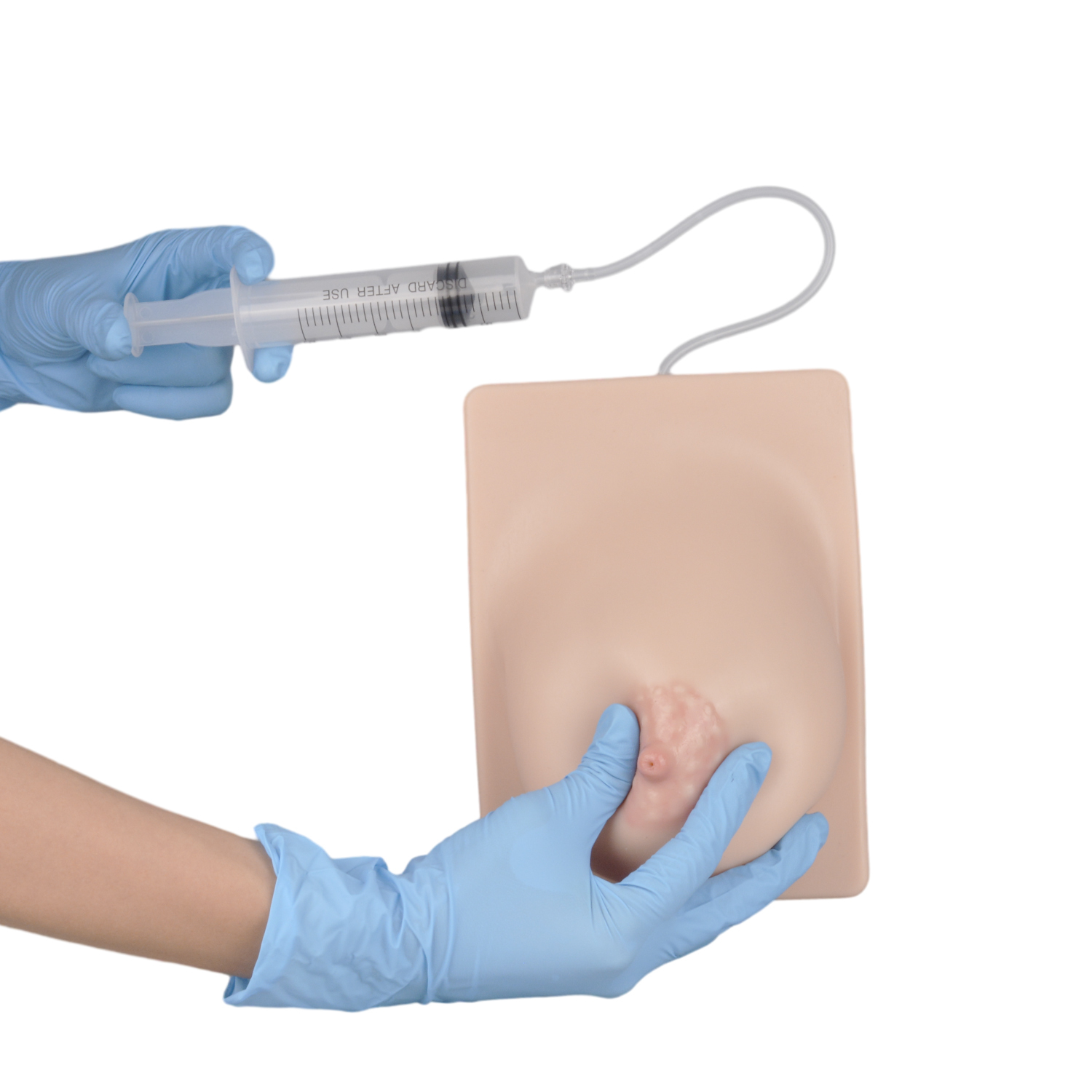 Breastfeeding Model with Simulated Milk Expression