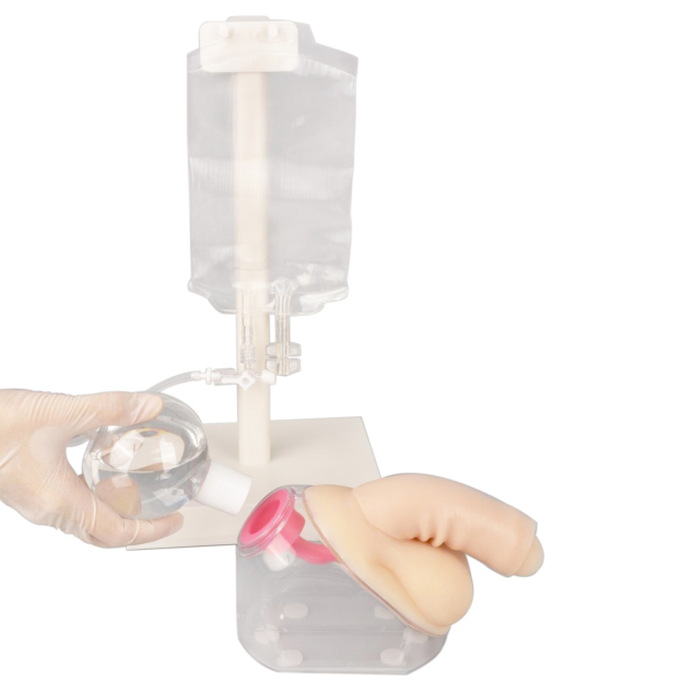 Male Urinary Catheterization Training Simulator