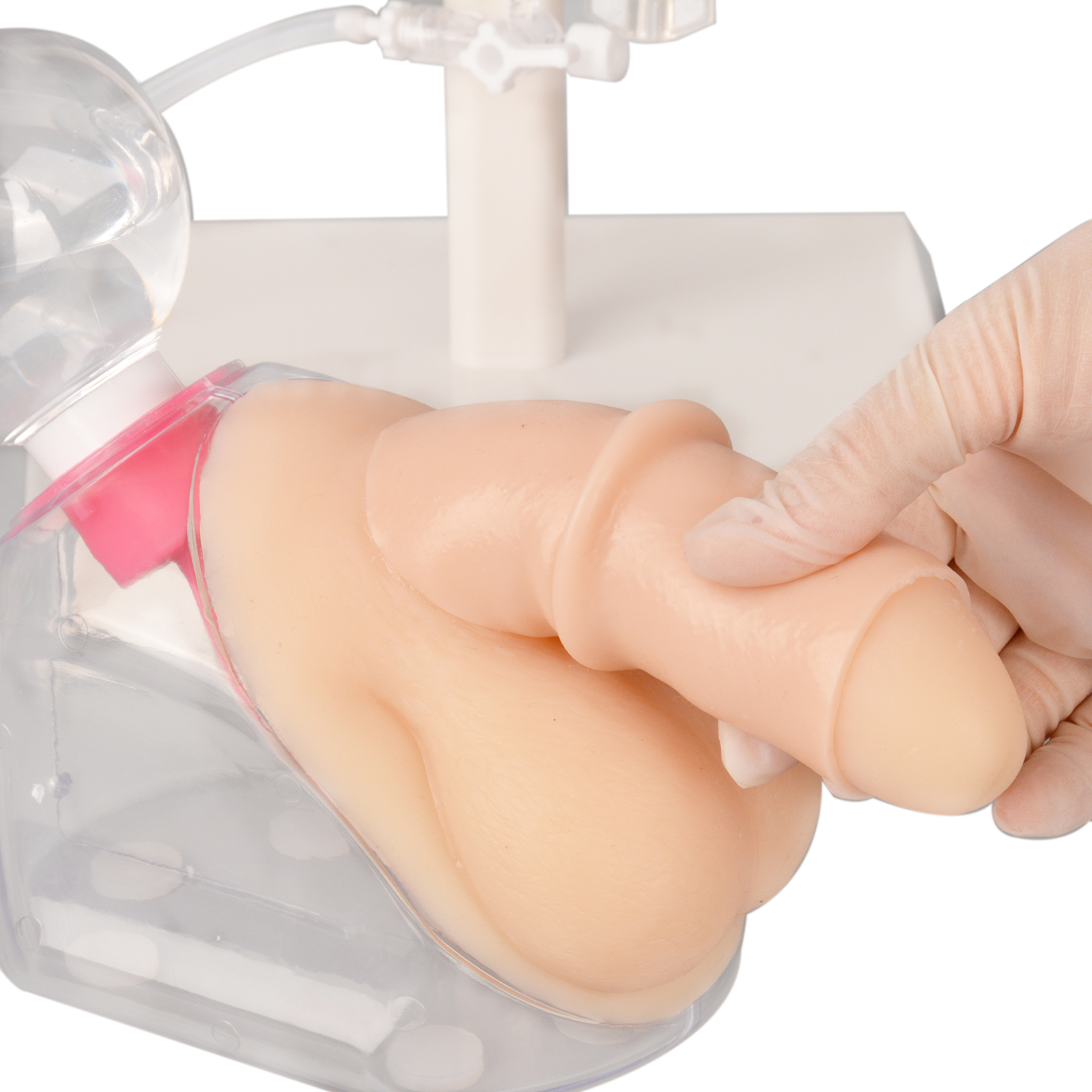Male Urinary Catheterization Training Simulator