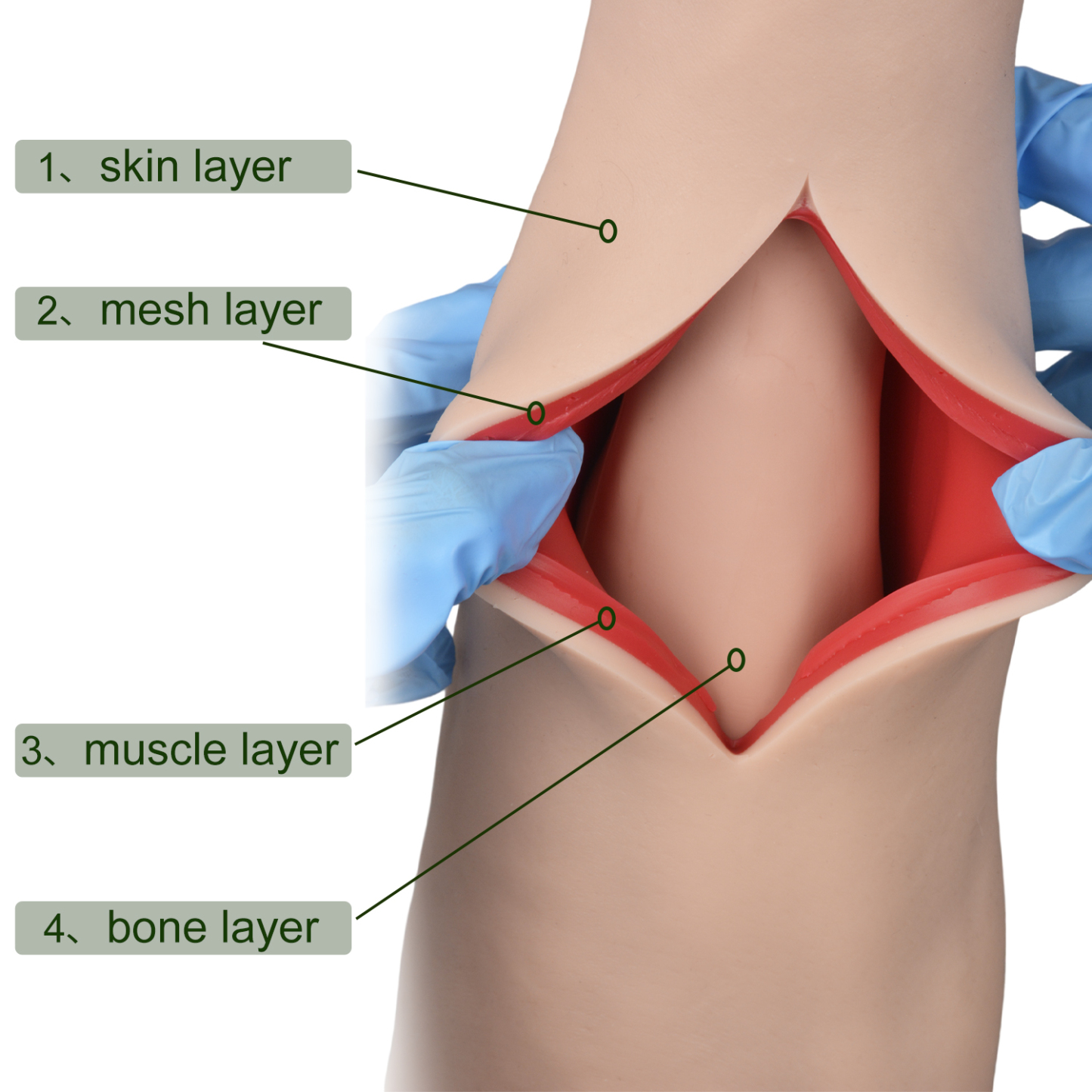 Reusable Multi Layer Suture Arm Model For Clinical Skills Training