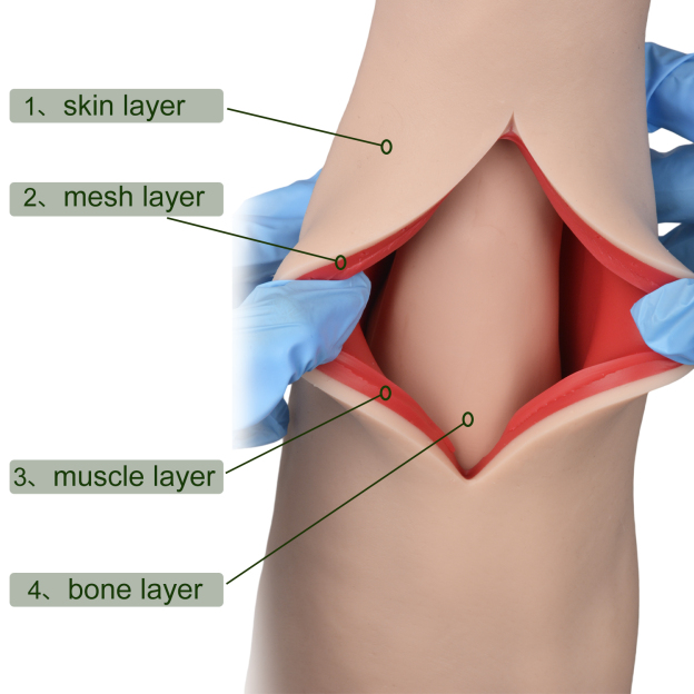 Reusable Multi Layer Suture Arm Model For Clinical Skills Training