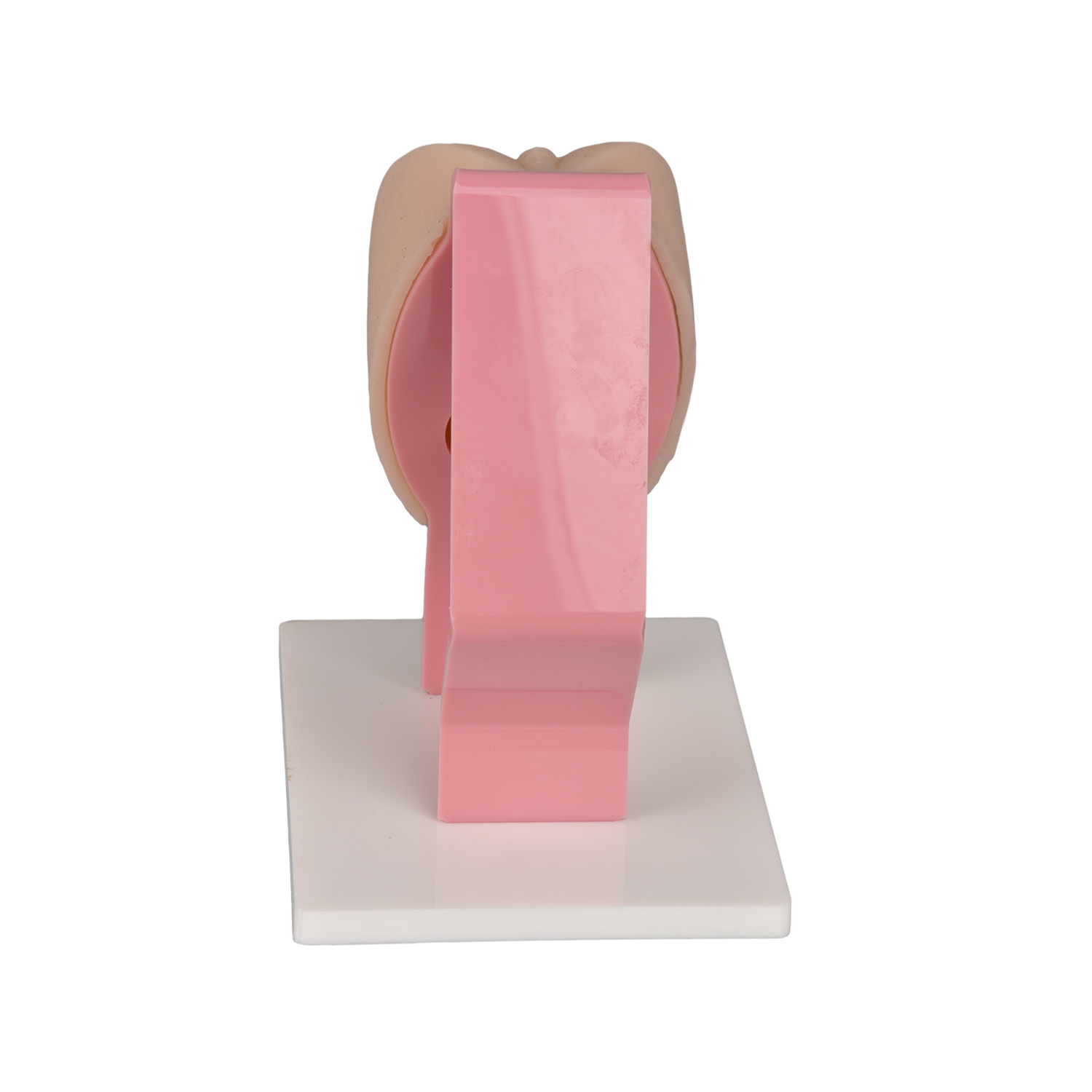 Vaginal Examination Simulator for Clinical Practice