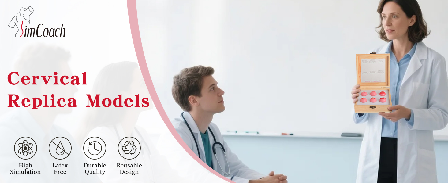 Female Reproductive Health Model