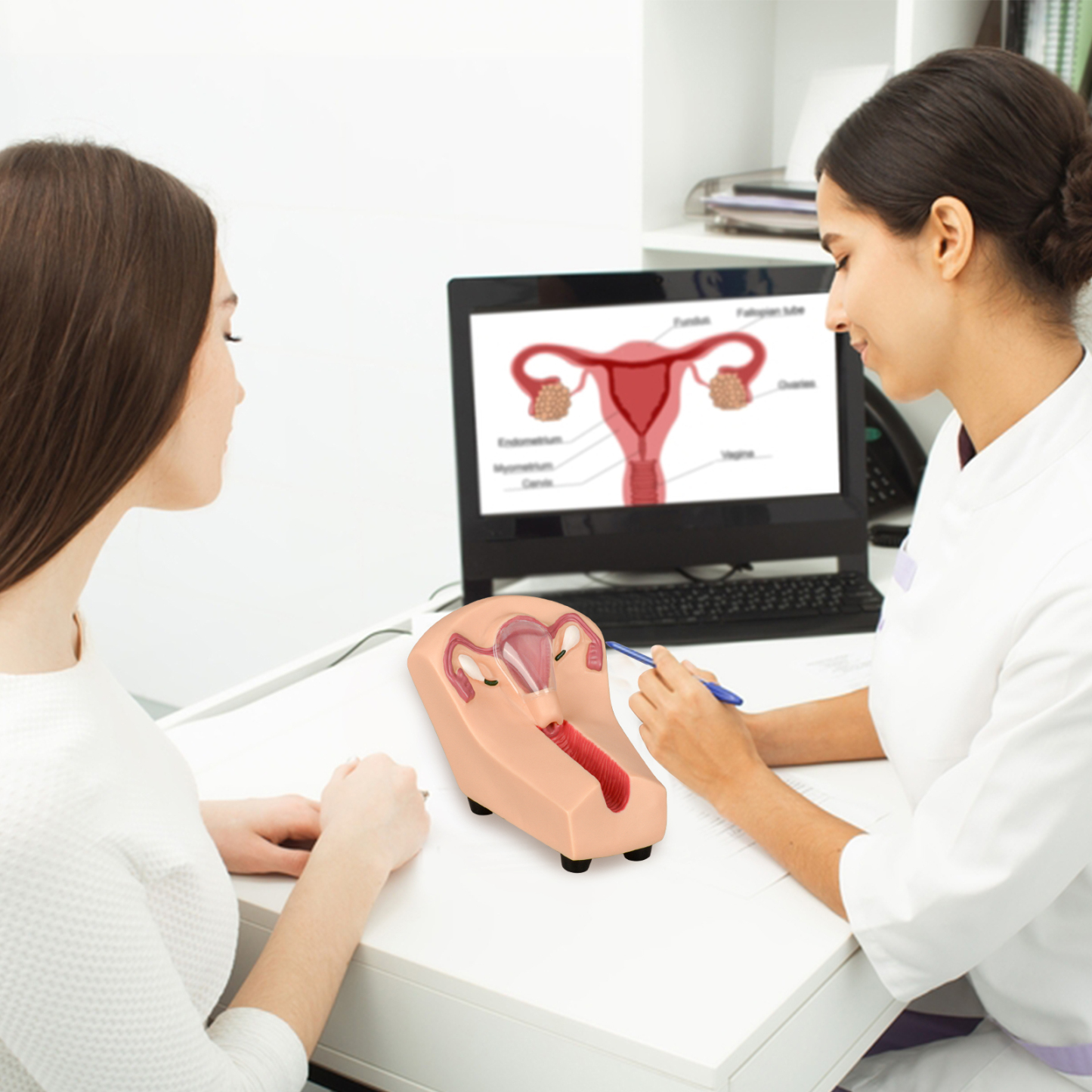 SimCoach Intrauterine Device Training Kit