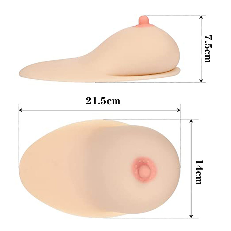 The Size of Breast Model
