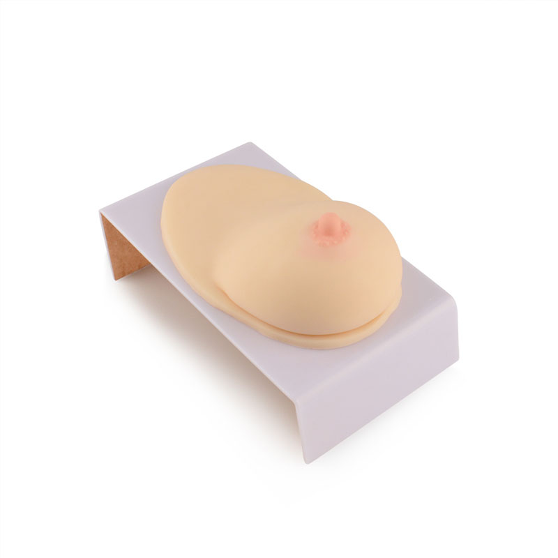 Realistic Breast Model for Breastfeeding Education