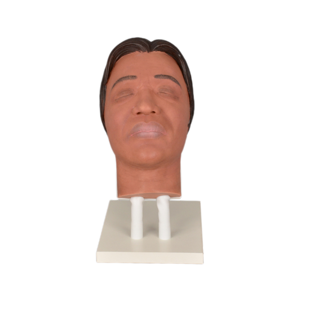 Black Injection Mannequin Face Model Dual Tube Stand