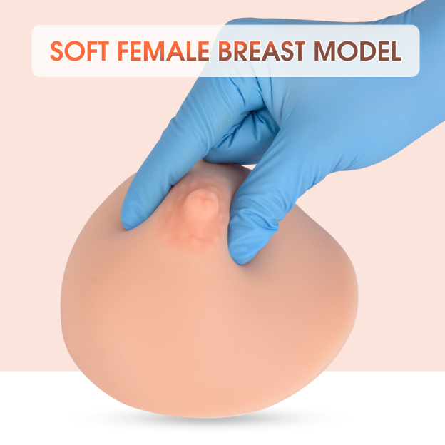 Soft Silicone Breast Model for Lactation Education