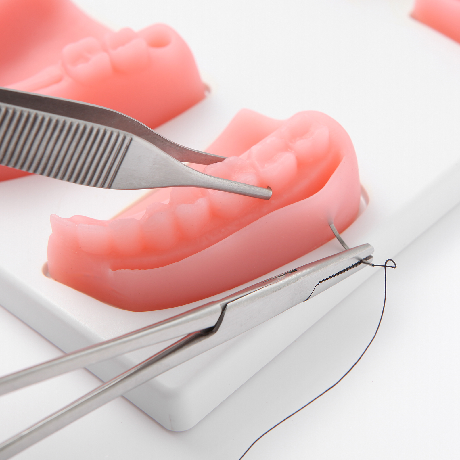 Oral Suturing Practice Model With Pre Cut Incision