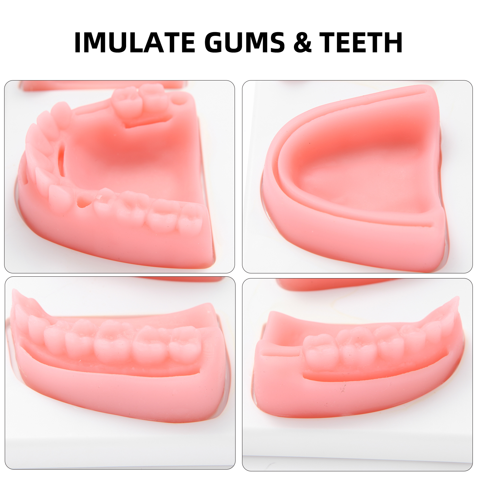 Silicone Gum Teeth Model For Dental Suturing Practice