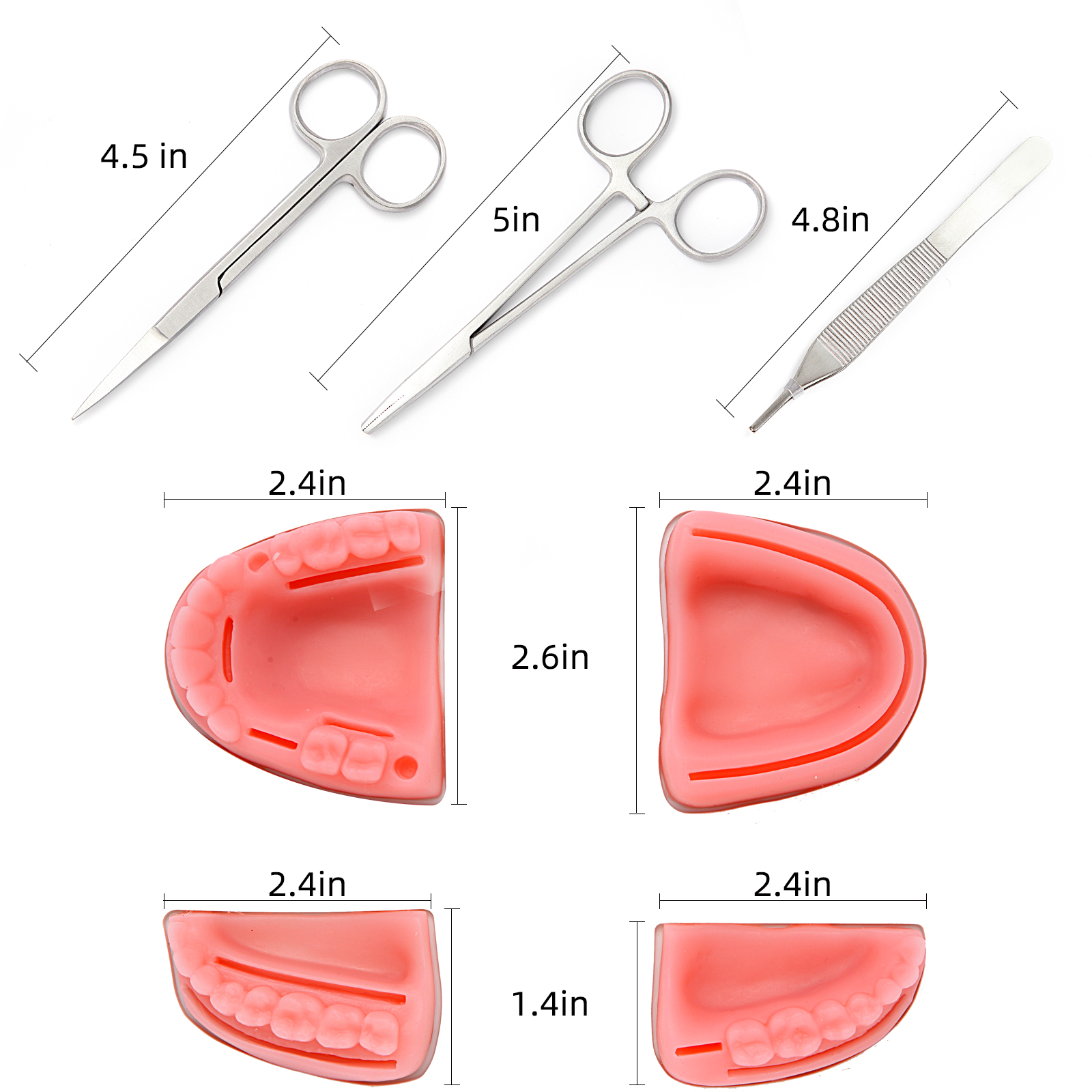 Dental Suture Practice Kit Size Reference
