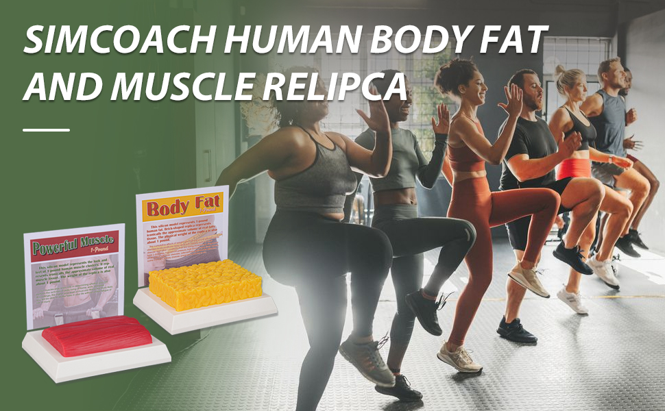SimCoach 1 Pound of Fat vs 1 Pound Muscle Replica Set