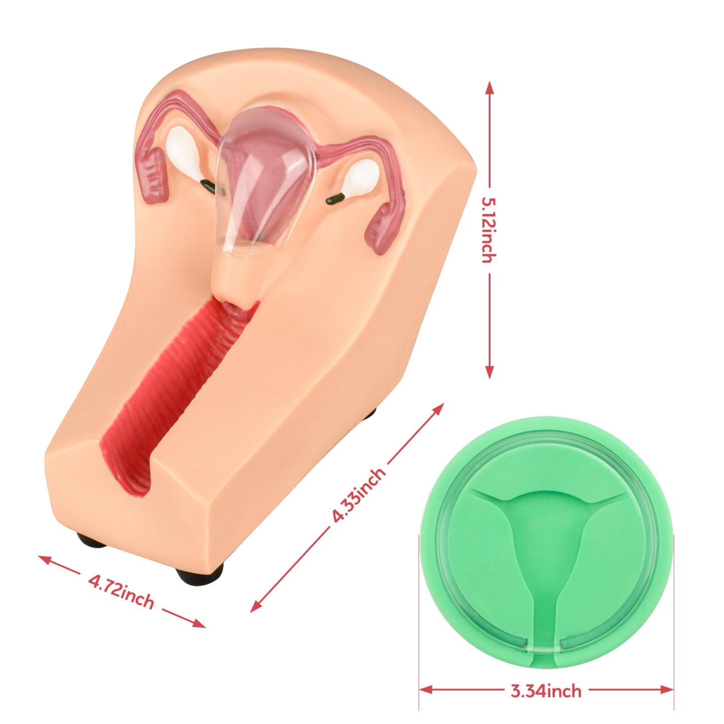 SimCoach Intrauterine Device Training Kit