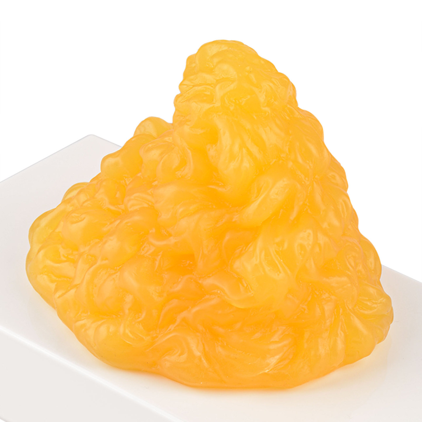 Realistic One LB Fat Replica for Education Use