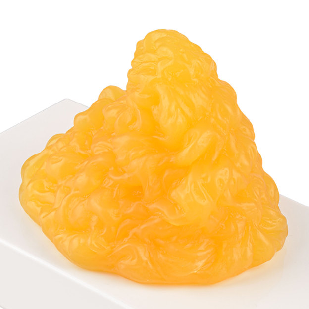 Realistic One LB Fat Replica for Education Use