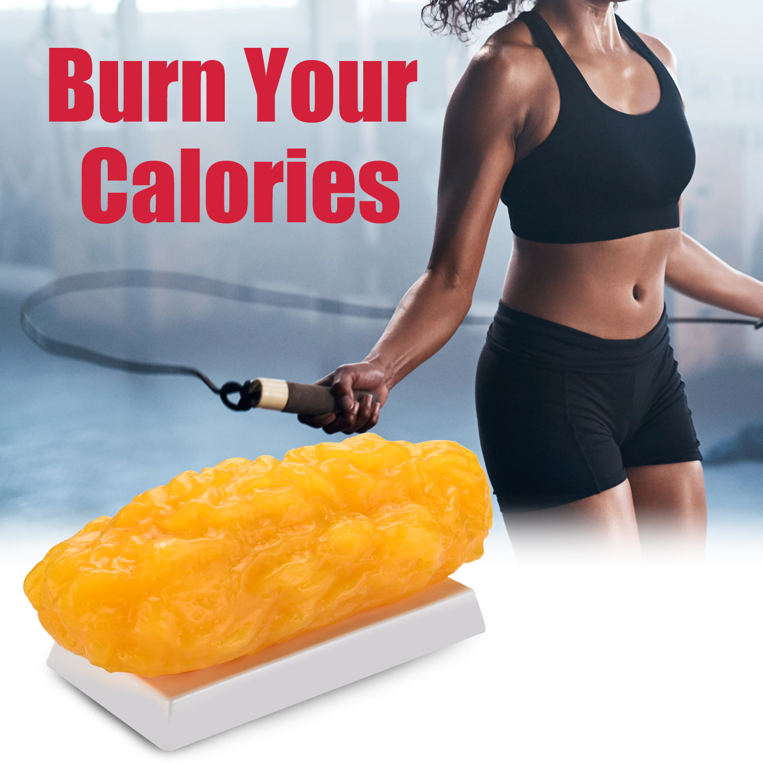 Hands-On Fat Replica For Fitness Training