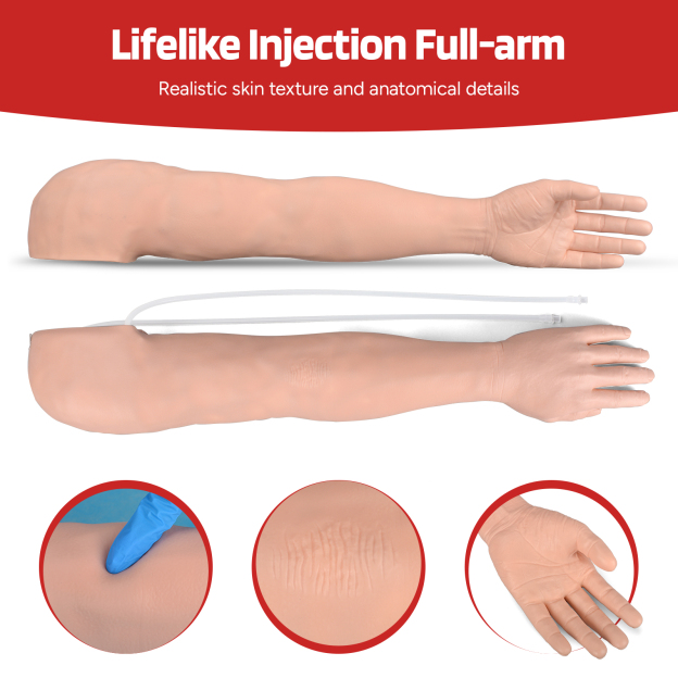 Phlebotomy Practice Kit with IV & IM Practice Arm