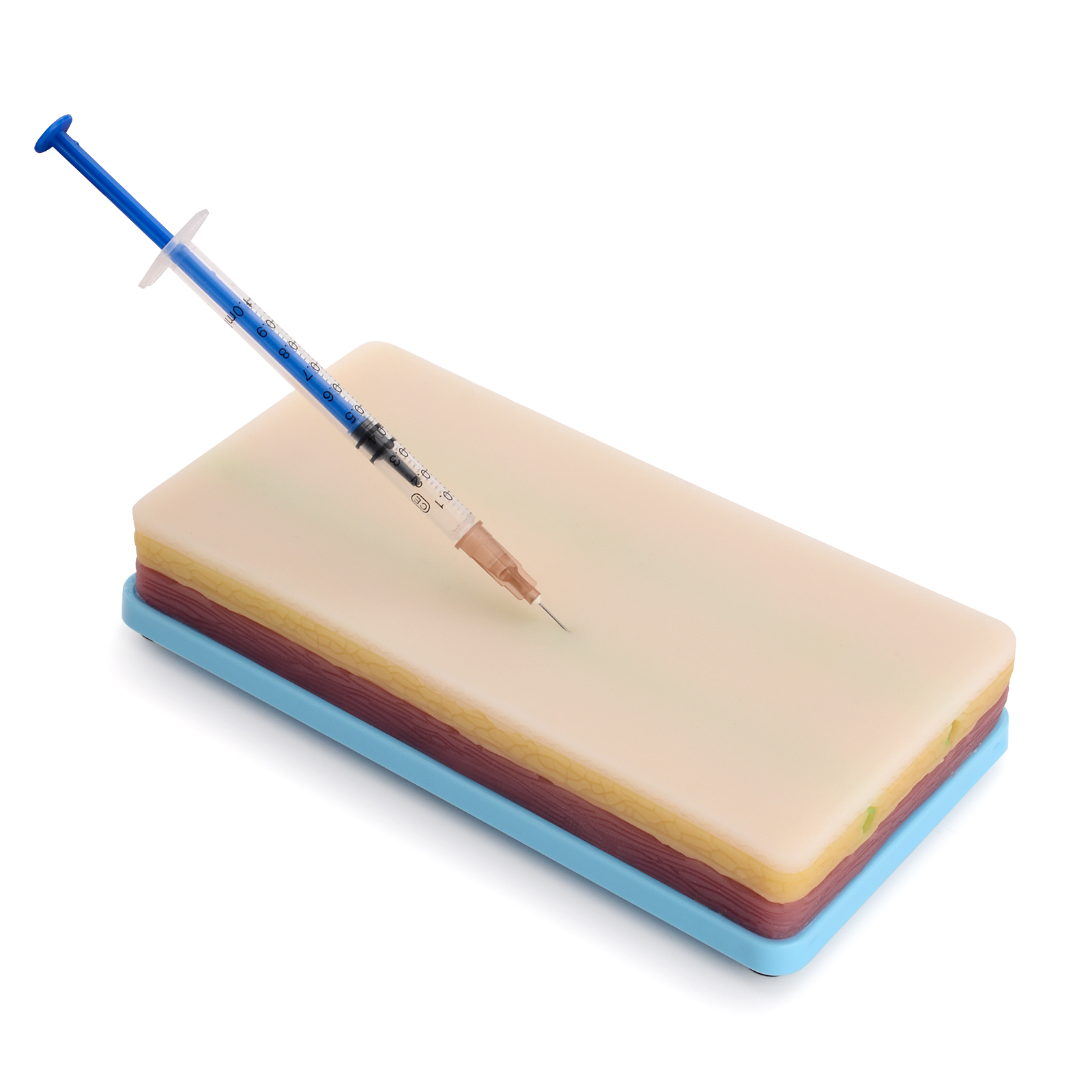 IV Insertion Practice Pad With Dual Veins